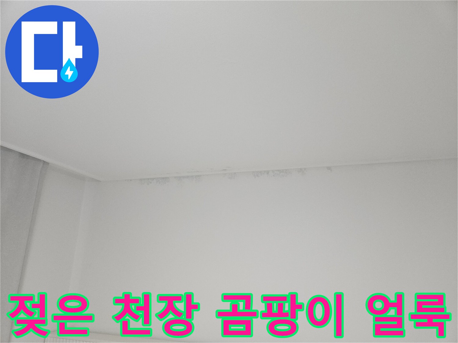 물샘으로 인해 발생한 천장 코너의 곰팡이 및 벽지 오염