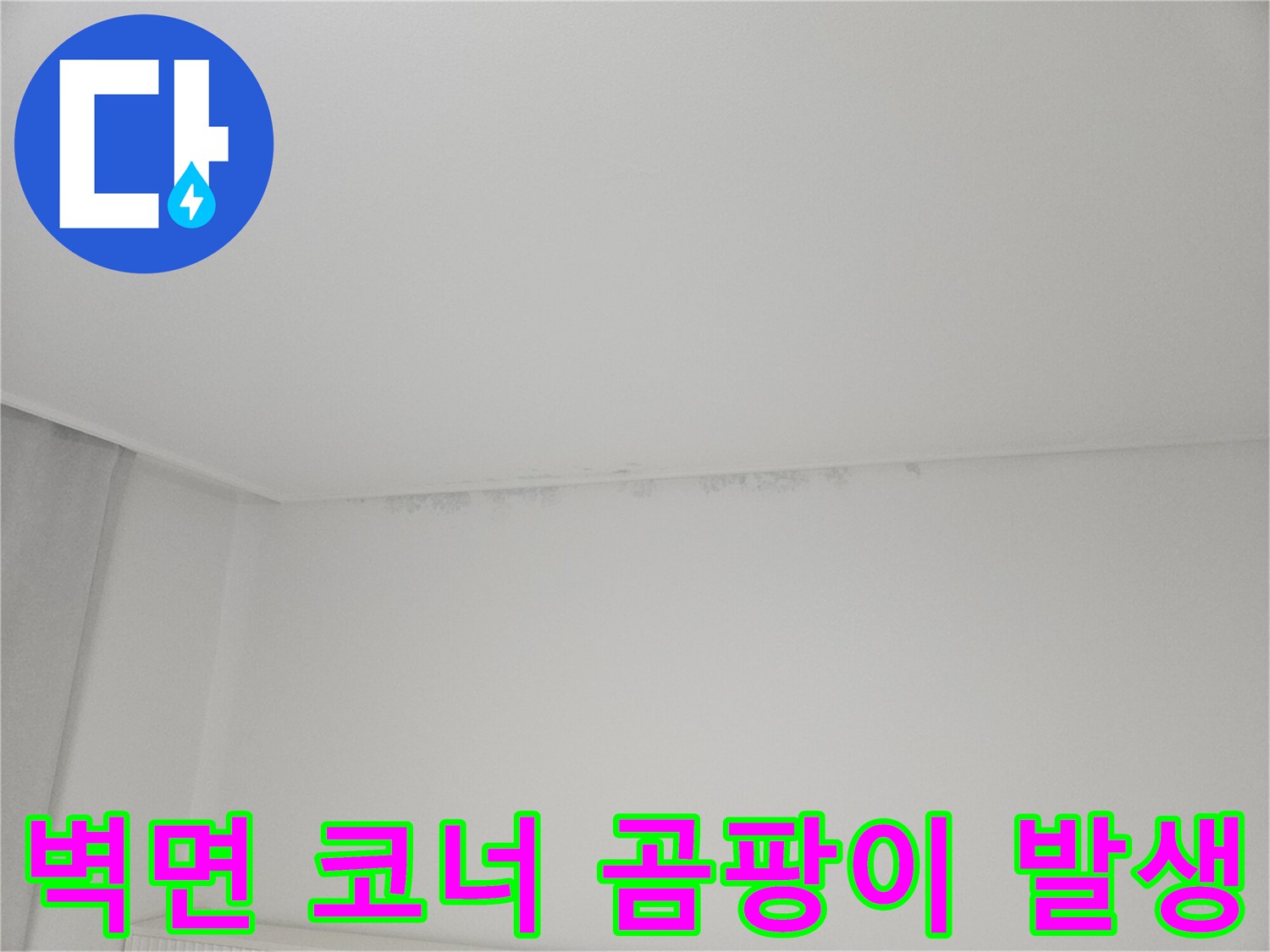 천장과-벽면-경계에-발생한-곰팡이-흔적