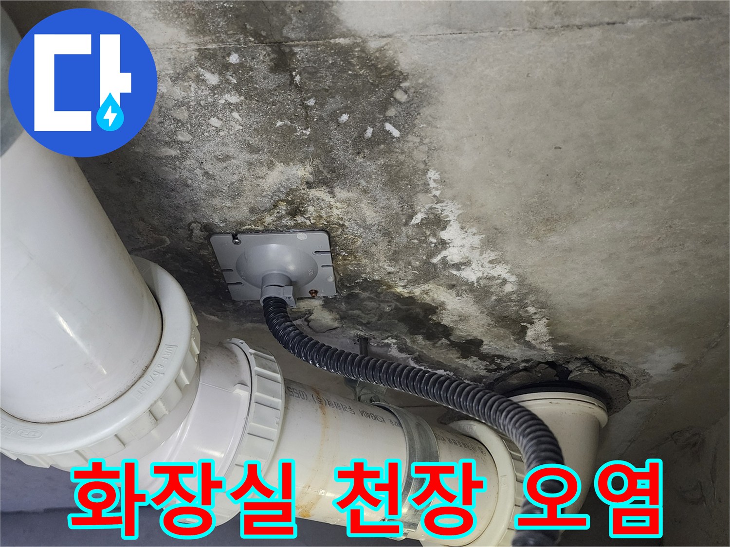 고양시-덕양구-화장실-천장-배관-주변-곰팡이와-물자국-상태