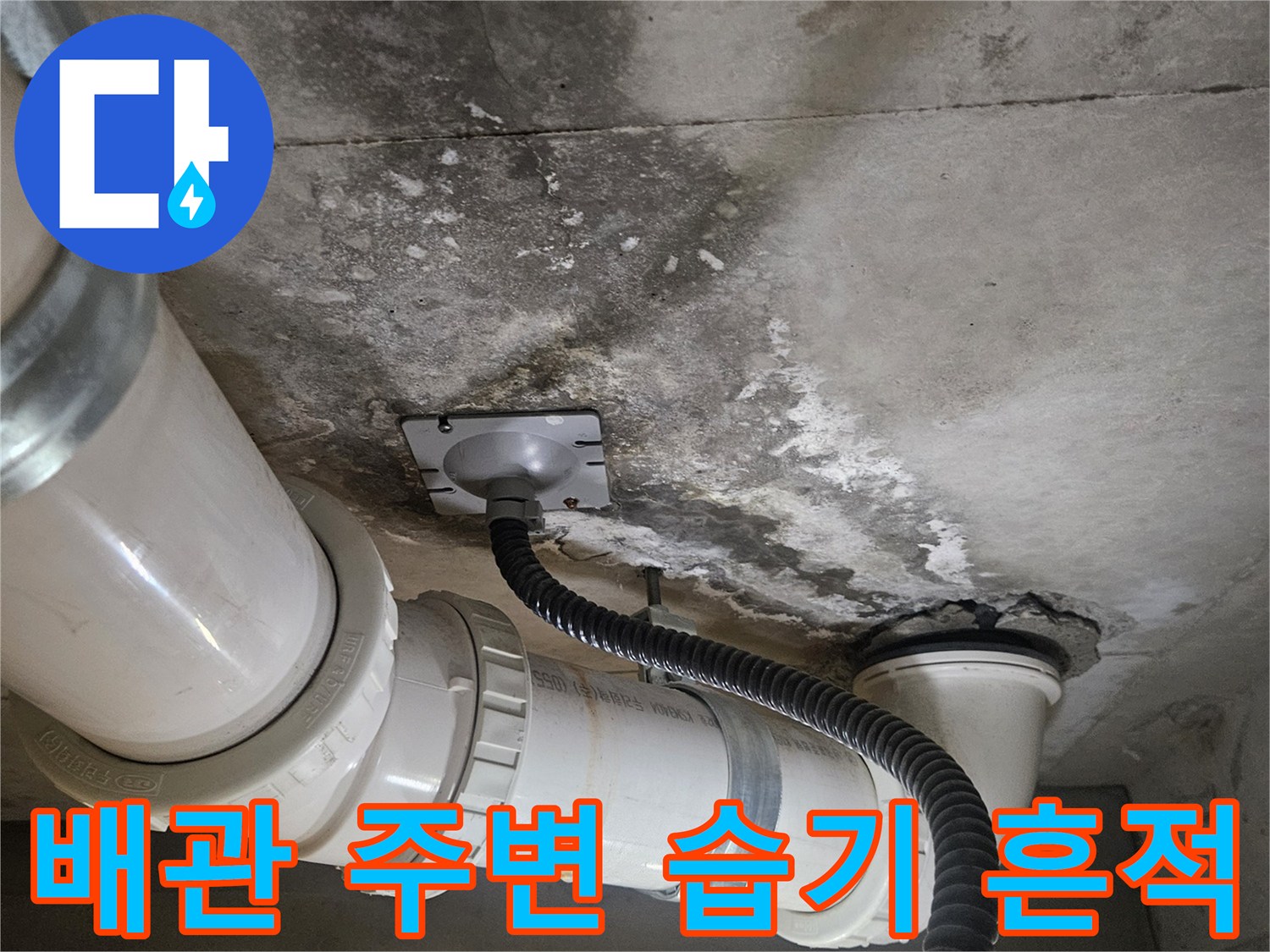 덕양구 화장실-배관 주변의 물자국과 습기 상태