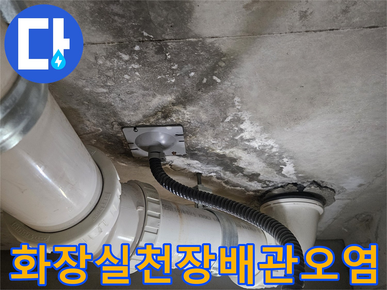 덕양구-화장실-천장-배관-주변의-물자국과-습기-흔적