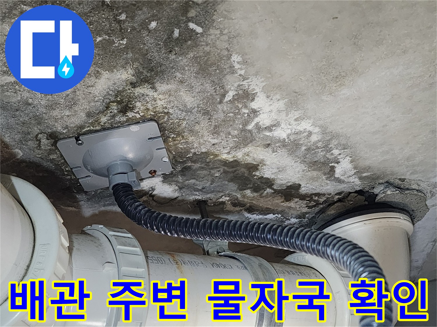 천장 배관 부위-누수로 인한 콘크리트 변색과 곰팡이