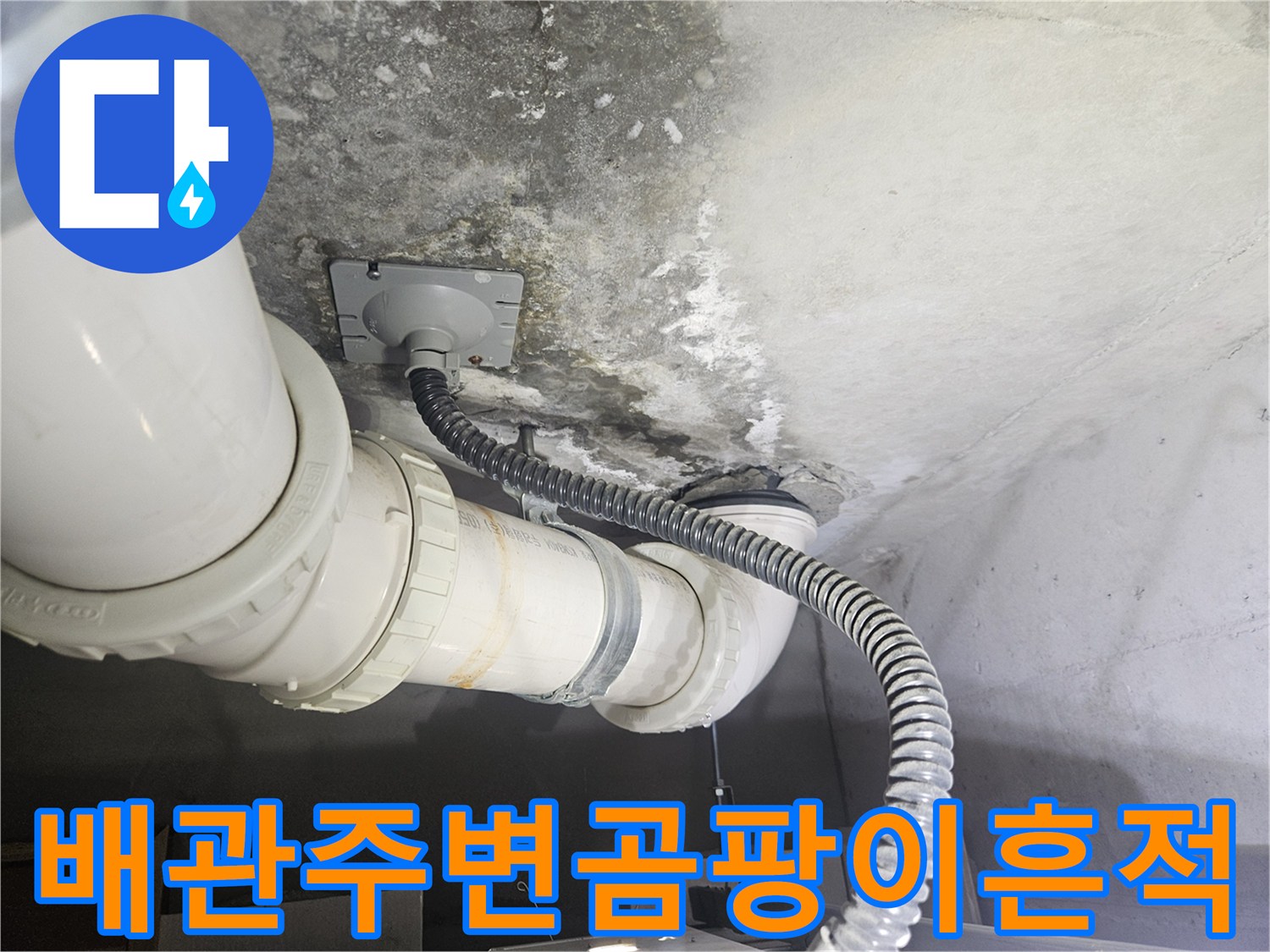 천장 슬라브에 나타난 곰팡이와 배수 배관의 연결 상태