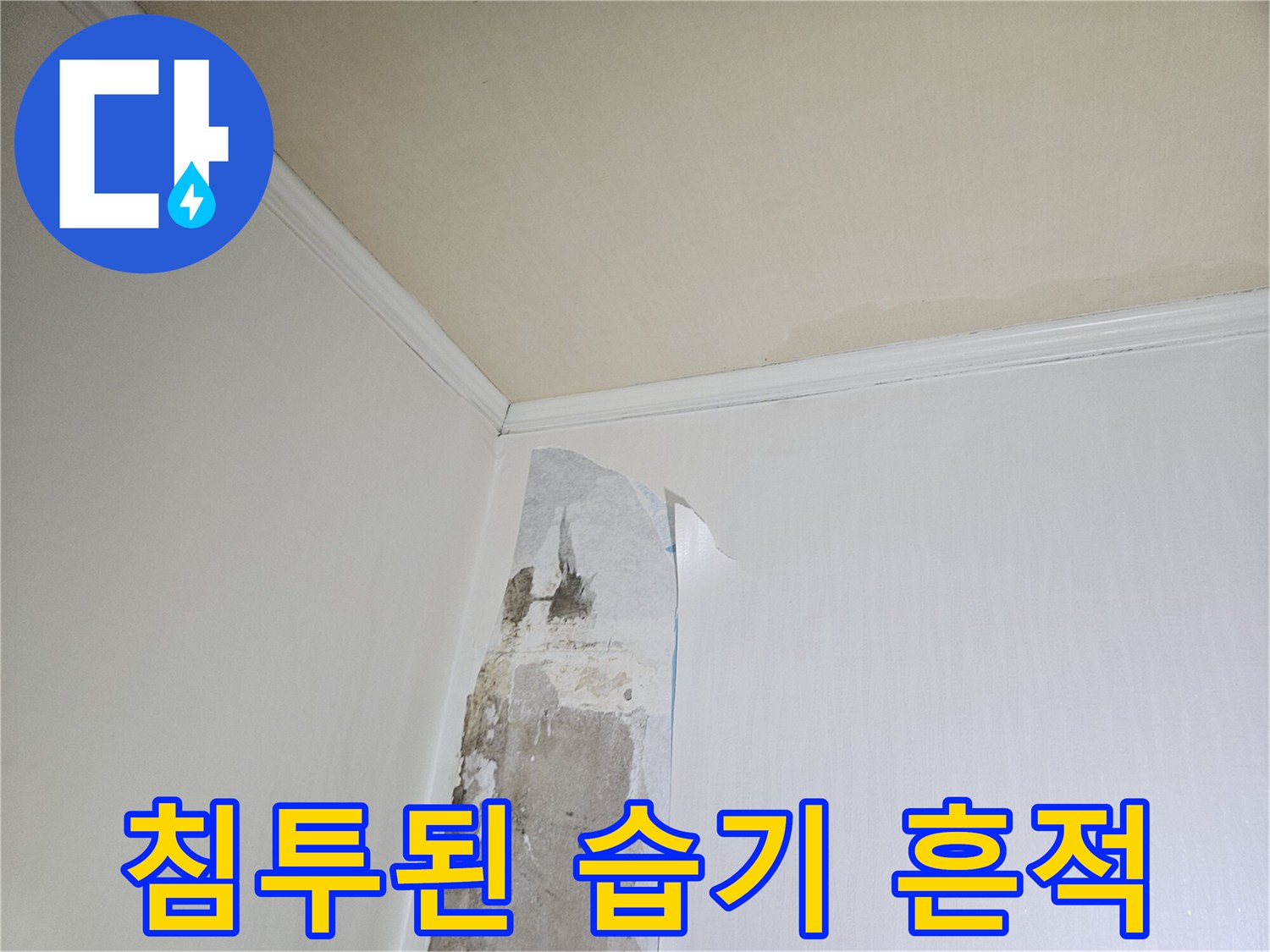 습기가 스며들어 변형된 하얀색 도배지 면