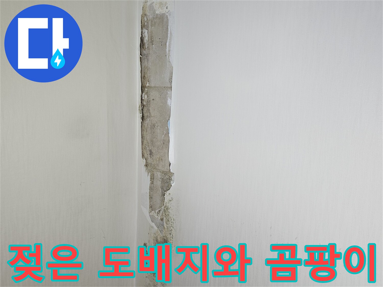습기로 인해 변색되고 벗겨진 천장 마감재 부위