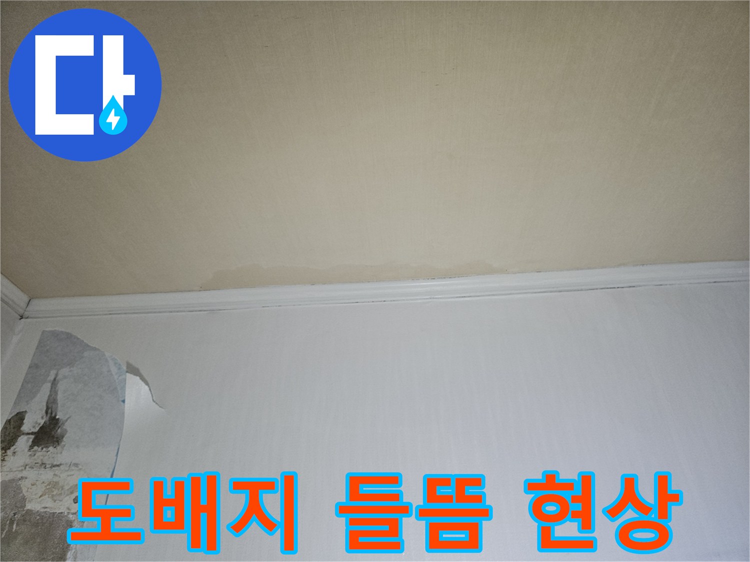 아파트 벽면의 도배지가 습기로 인해 들뜨고 곰팡이가 발생한 모습