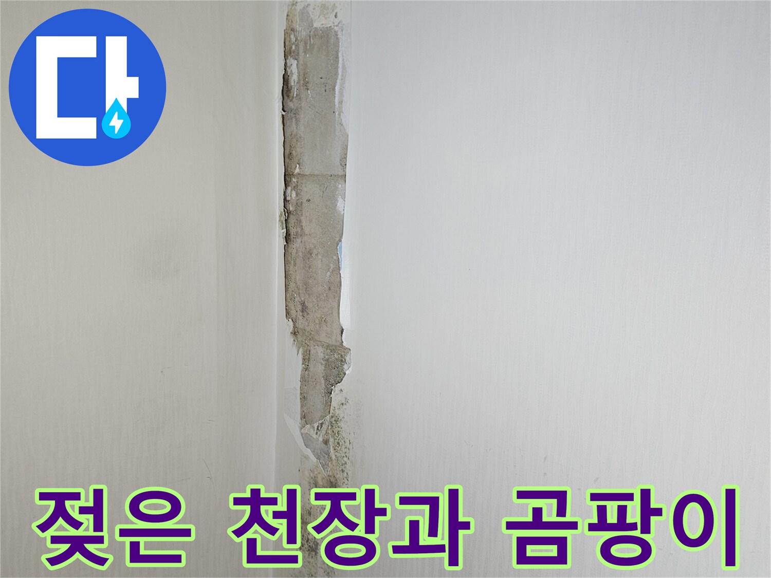 천장-벽면-경계의-누수-및-곰팡이-상태