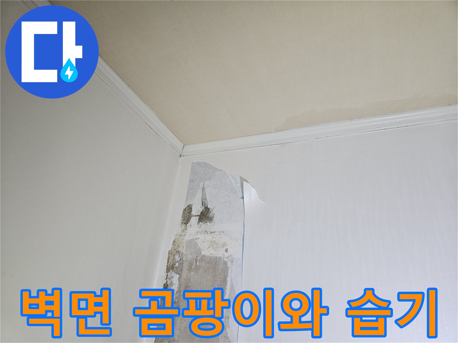 하얀 벽지 아래로 보이는 곰팡이와 습기에 의한 벽면 손상