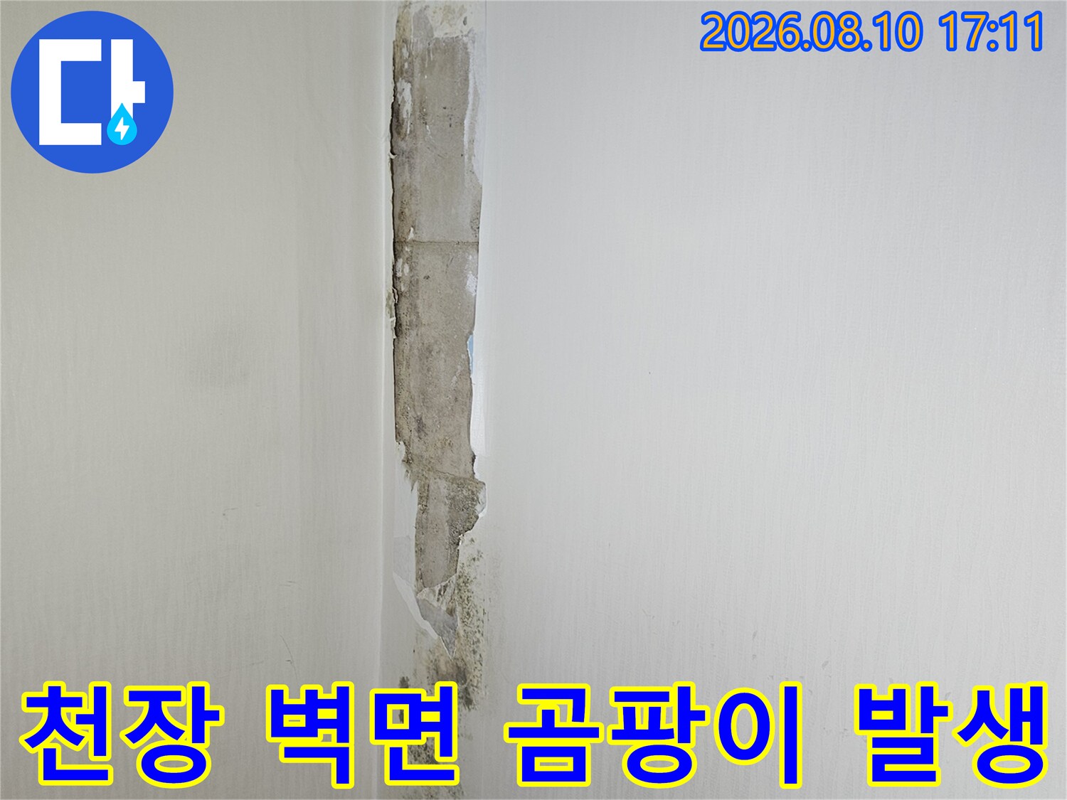 화장실 천장 모서리 부분에 나타난 젖은 도배지와 곰팡이 흔적