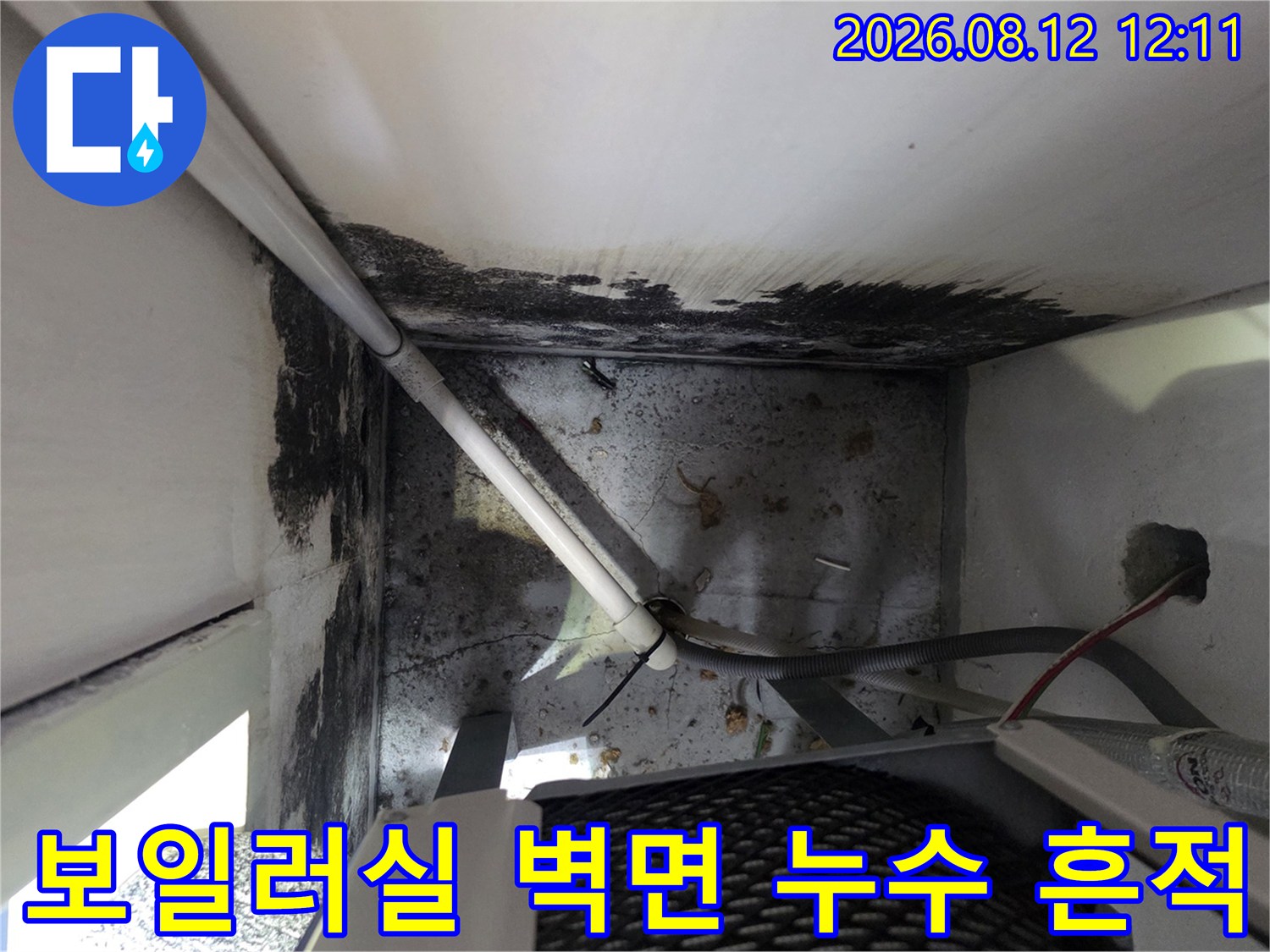 보일러실 내부 - 배관 주변의 곰팡이와 습기로 오염된 벽면