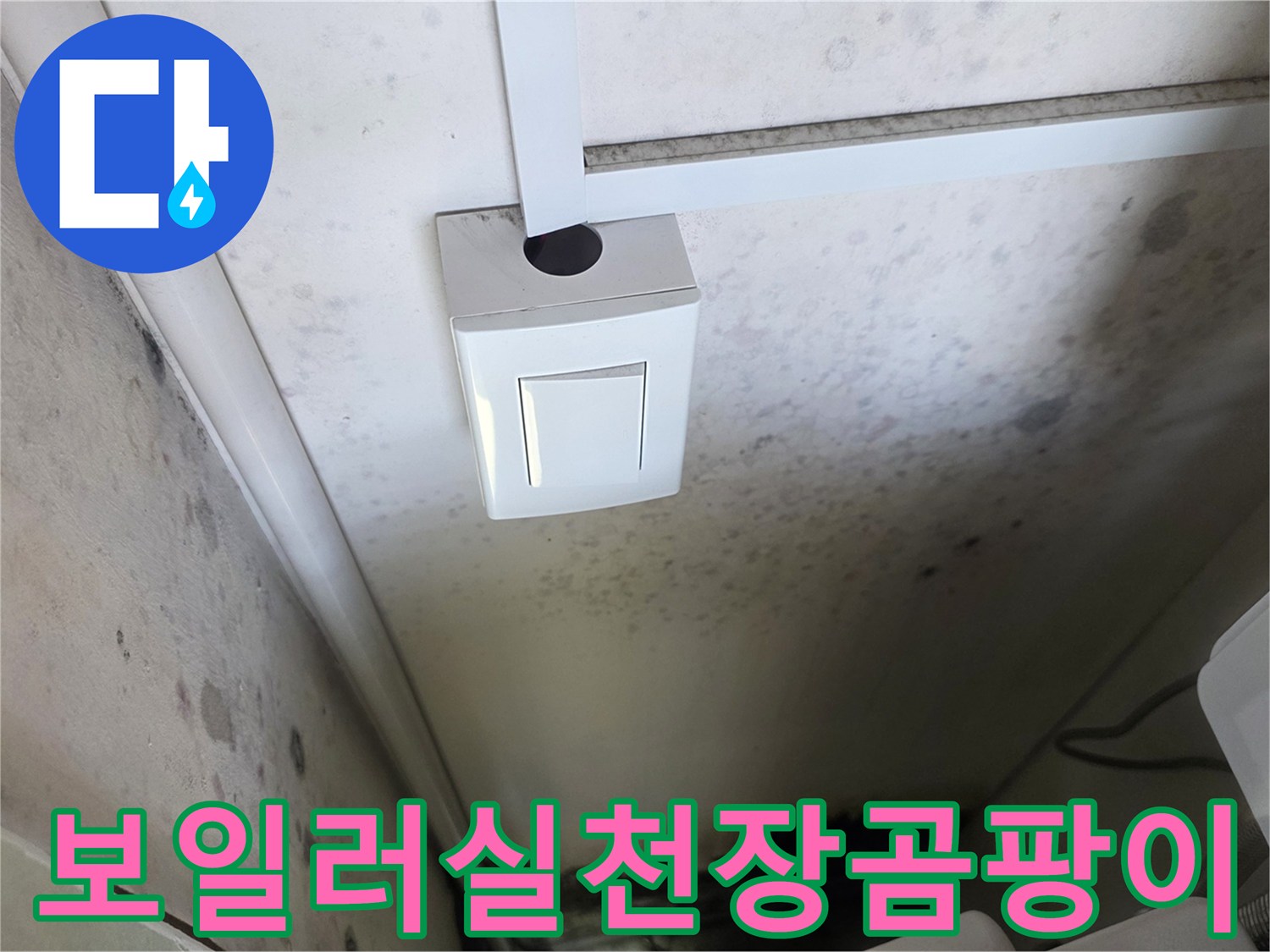 보일러실-천장-벽면에-발생한-곰팡이와-습기-흔적