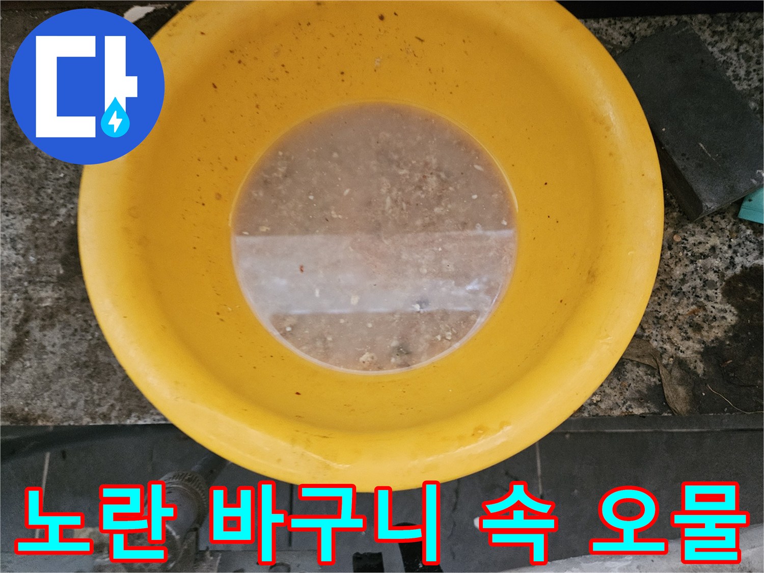 노란색 플라스틱 용기 내부에 고여 있는 탁한 오수와 이물질