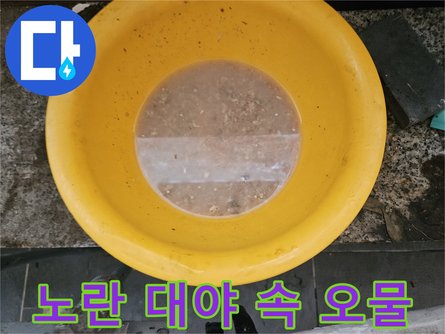 하수구 역류로 인해 노란색 대야에 고여 있는 탁한 물과 이물질 상태