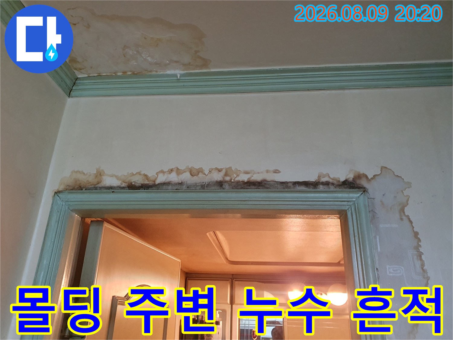 천장 몰딩과 벽면 사이의 젖은 얼룩 및 곰팡이 발생 부위