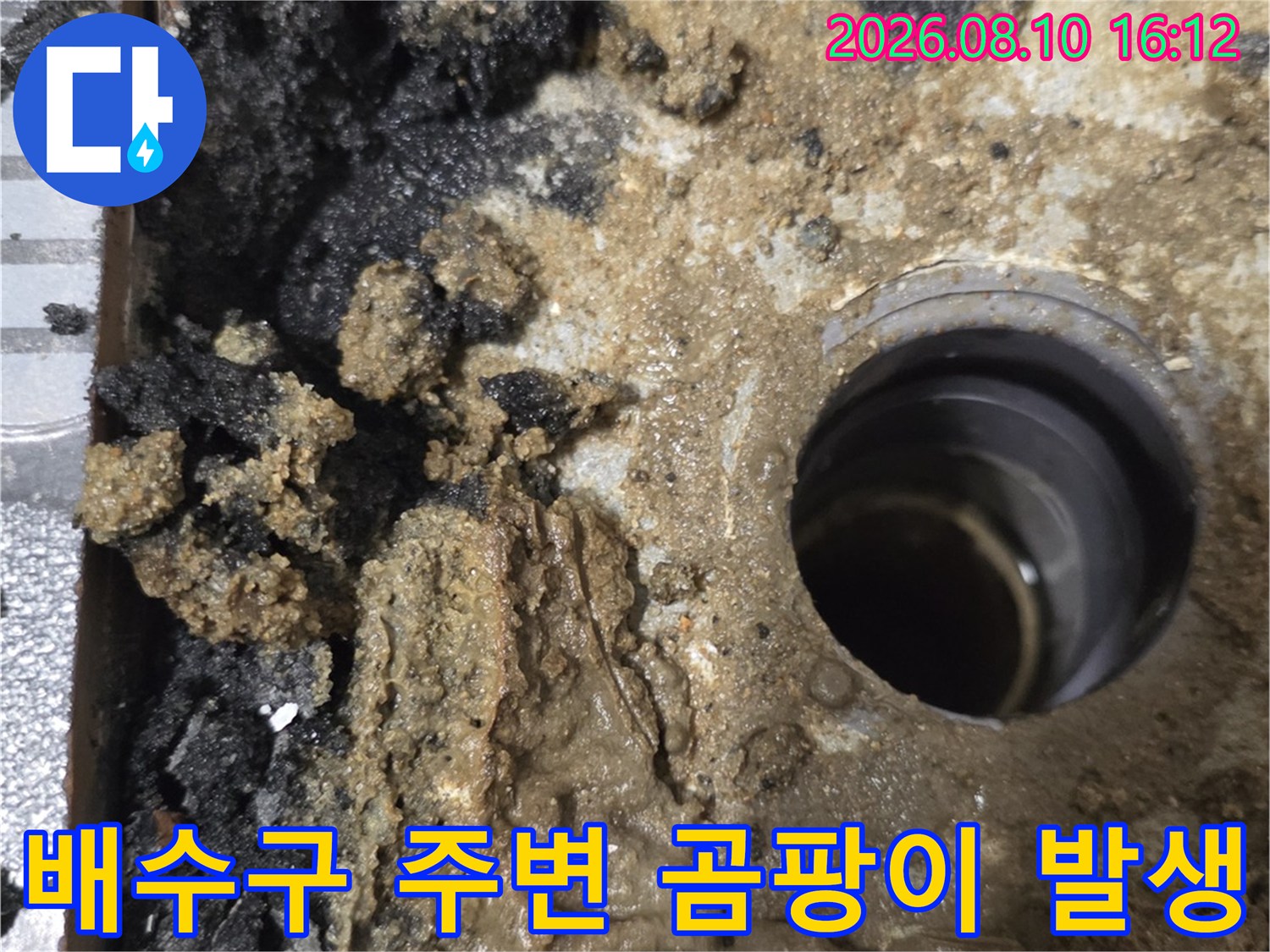 화장실 배수구 유가 주변에-발생한 검은 곰팡이와 습기 침투 현상