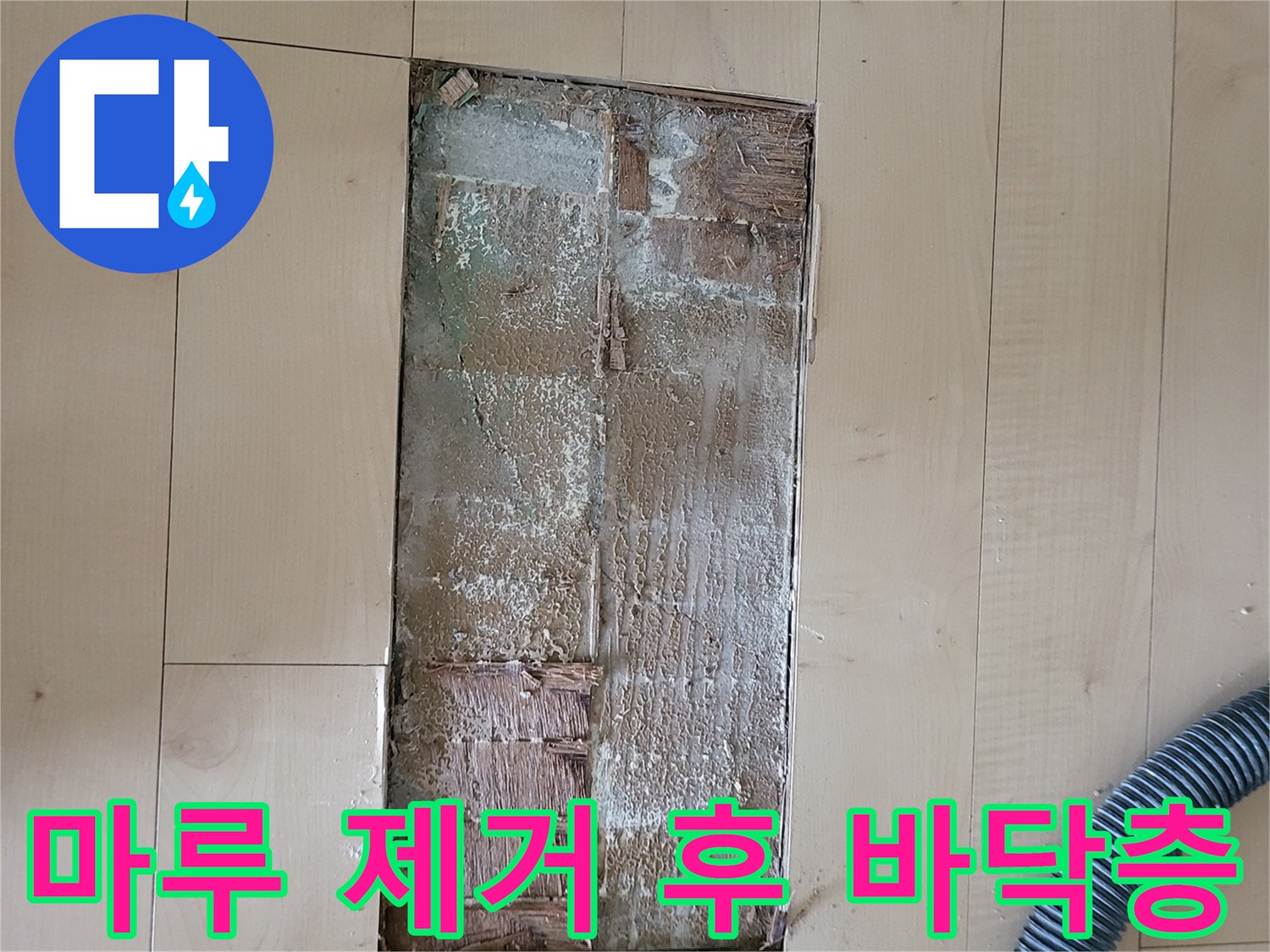 거실 마루를 제거하고 배관 누수를 확인하기 위해 파낸 현장입니다.