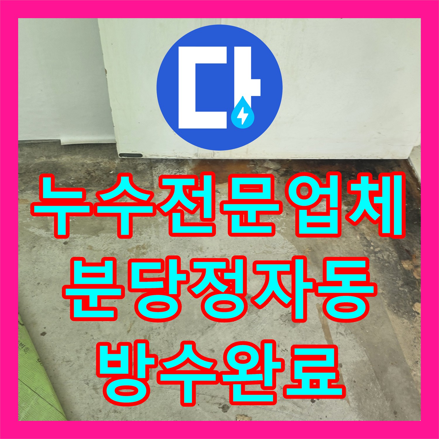 누수전문업체 매수 전 베란다 천장 물샘과 외벽 방수 상태를 점검한 성남시 분당구 정자동 후기