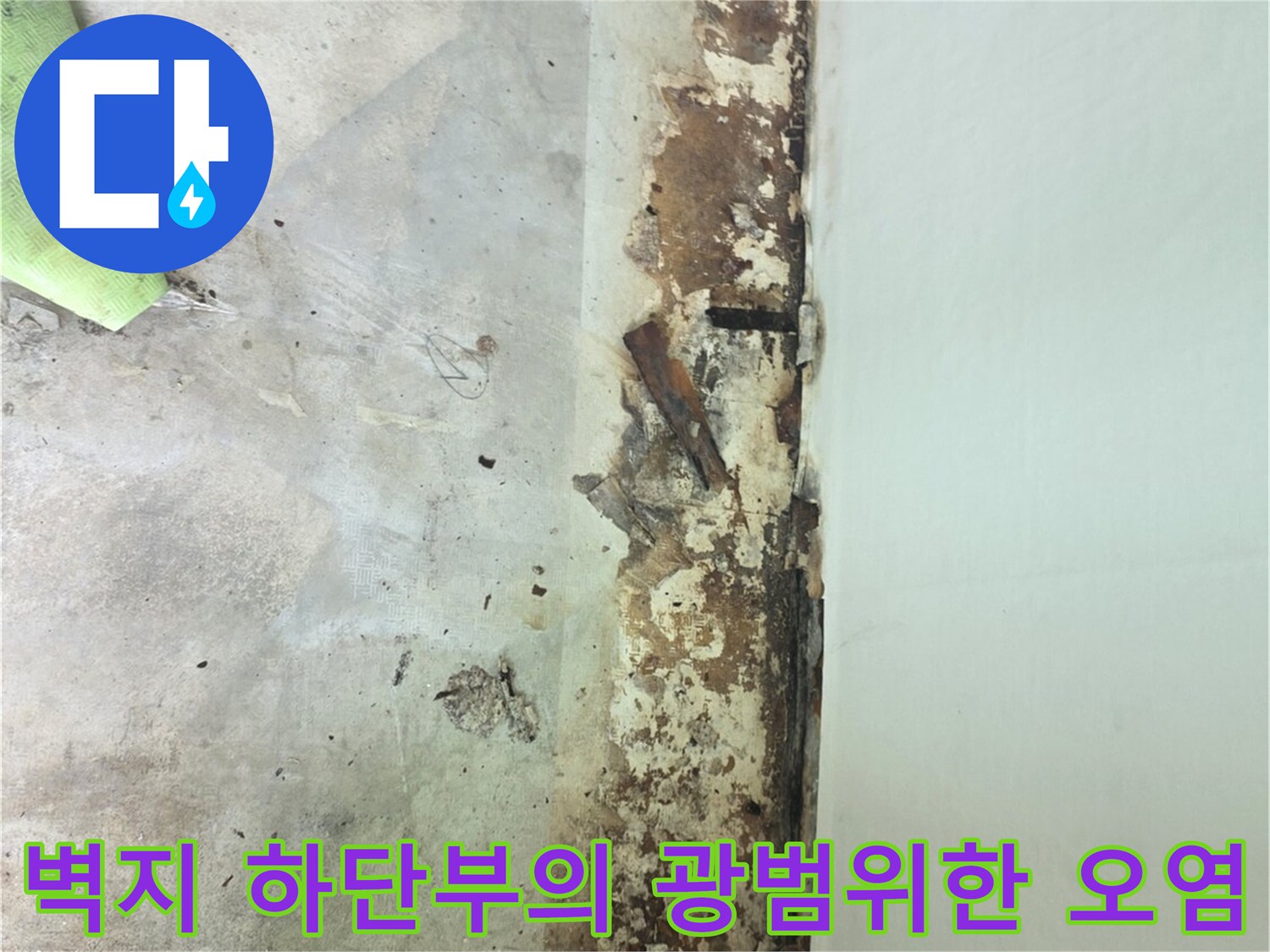 바닥면과-연결된-벽체에-물샘으로-인한-갈색-얼룩과-곰팡이가-형성된-사진