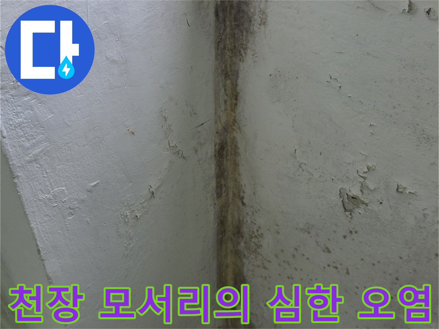 베란다-내부-천장-가장자리에-발생한-짙은-색상의-곰팡이-얼룩