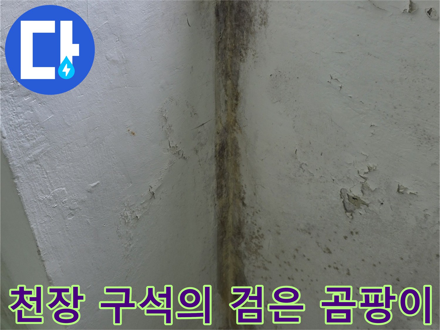 베란다-벽면-상단과-천장이-맞닿는-지점에-생긴-심한-곰팡이-오염