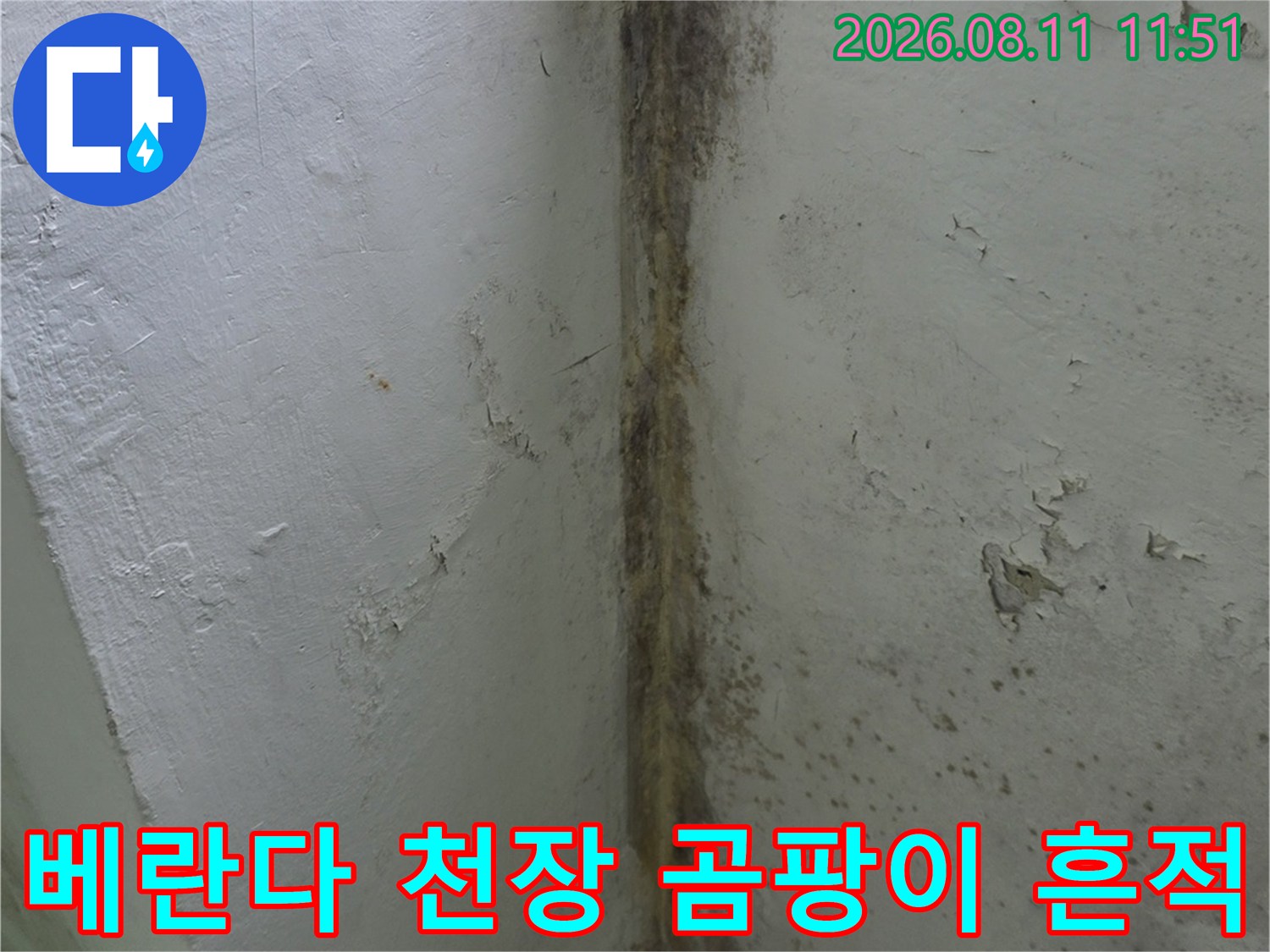 분당 정자동 아파트 베란다 천장과 벽면에 발생한 검은색 곰팡이와 도장면 박리 현상