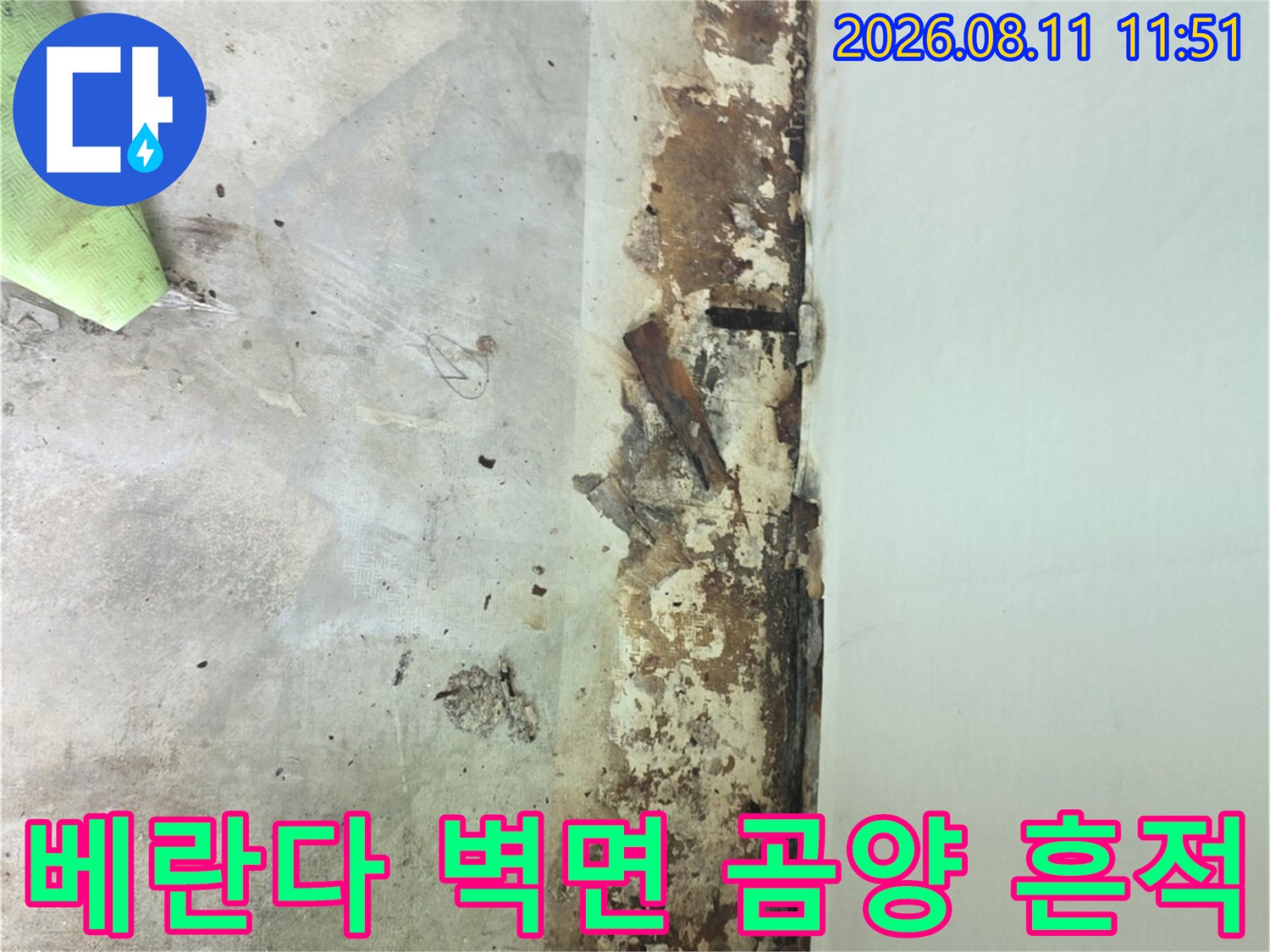 분당 정자동 아파트 베란다 하단 벽면의 심한 곰팡이와 습기 얼룩 상태를 보여주는 사진입니다.