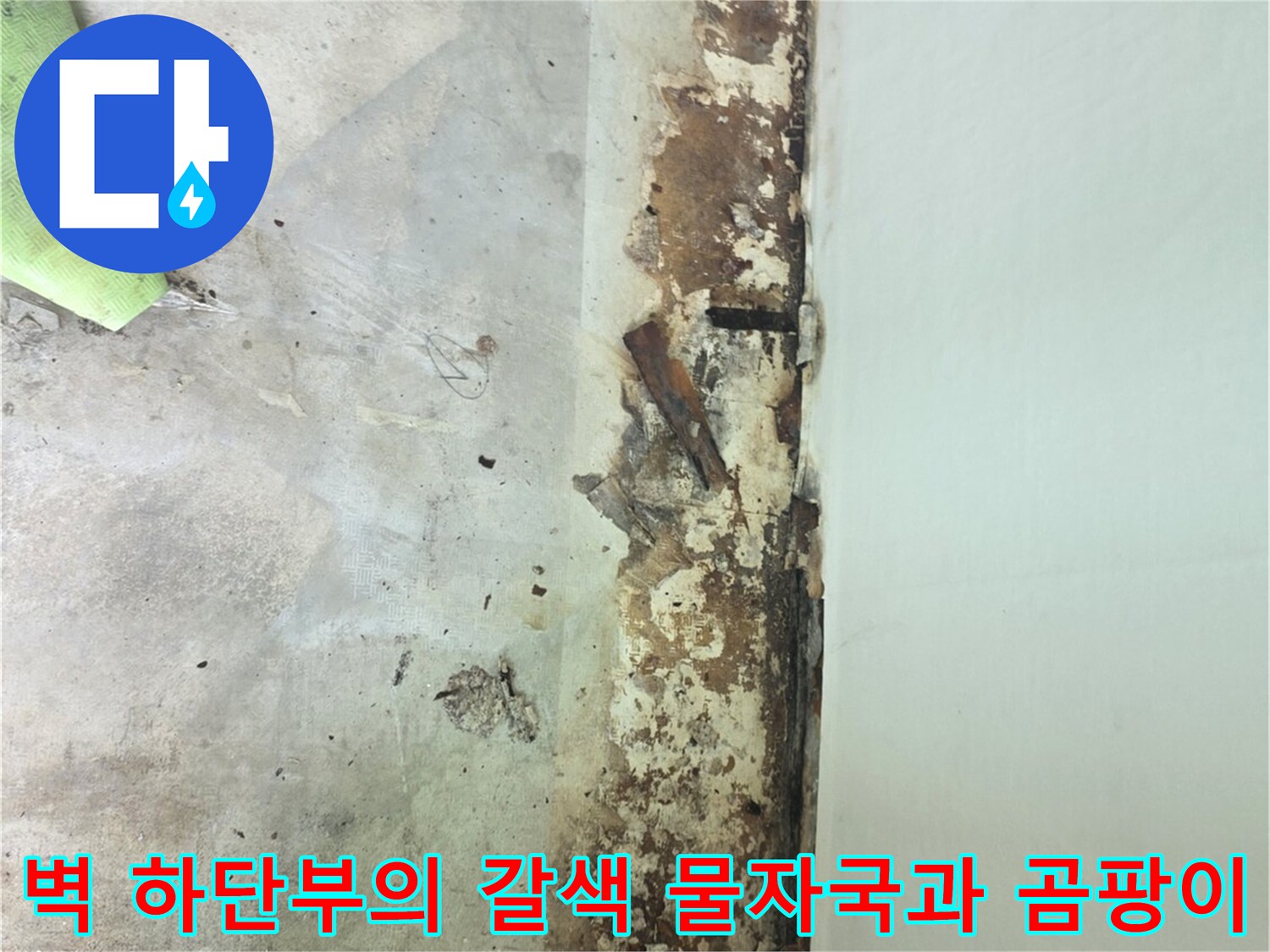 습기로-인해-심하게-오염되고-곰팡이가-핀-아파트-내부-벽면-하단-사진