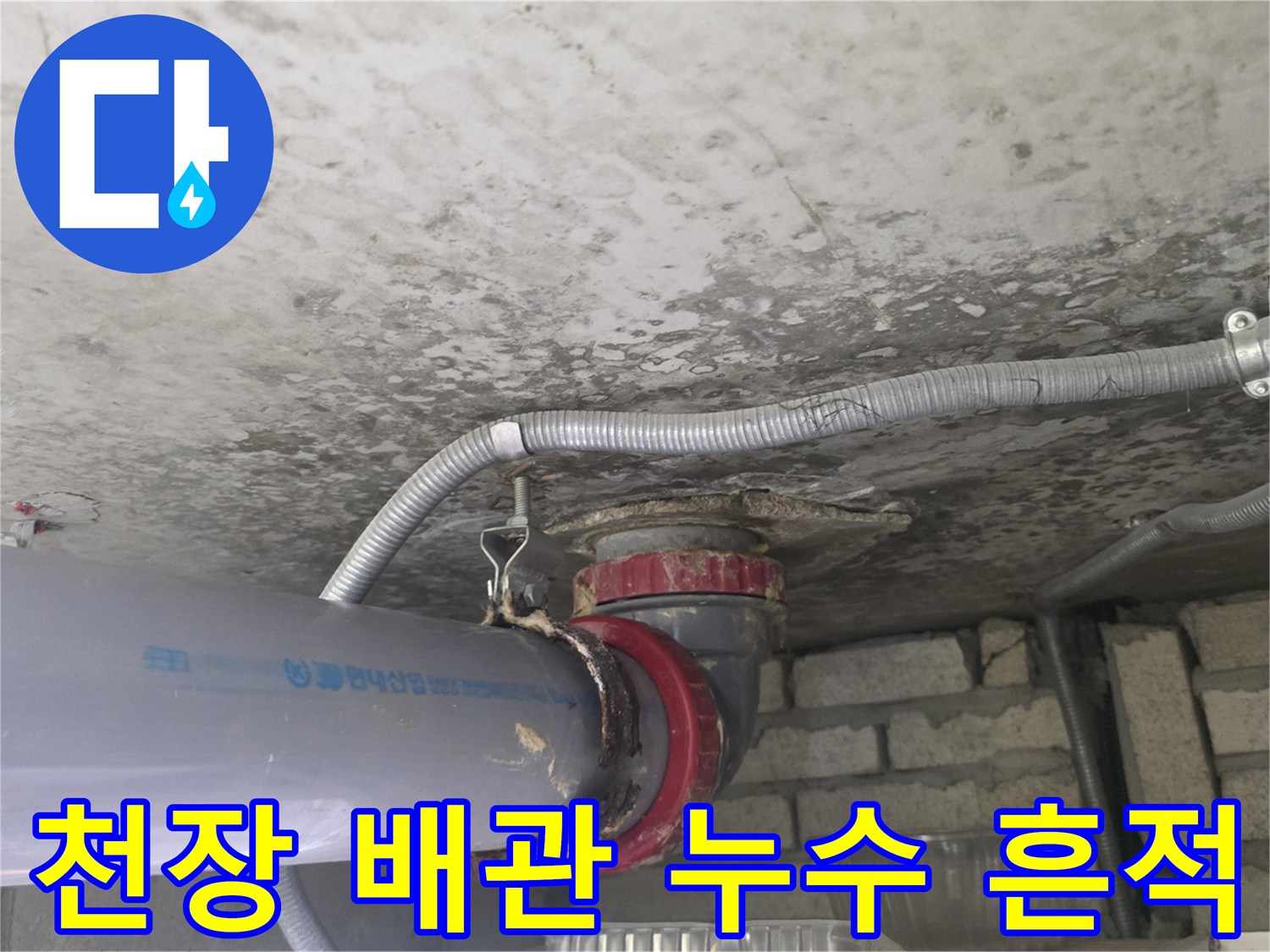 화장실-천장-내부-배수관-주변의-습기-및-얼룩