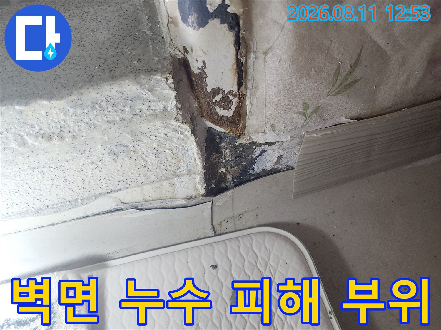 물에 젖어 갈라지고 들뜬 벽지 마감 상태