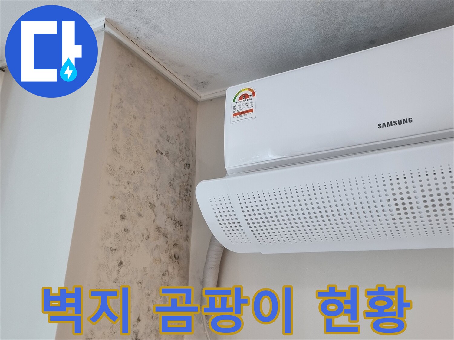 에어컨 하단 벽면의 광범위한 곰팡이 오염
