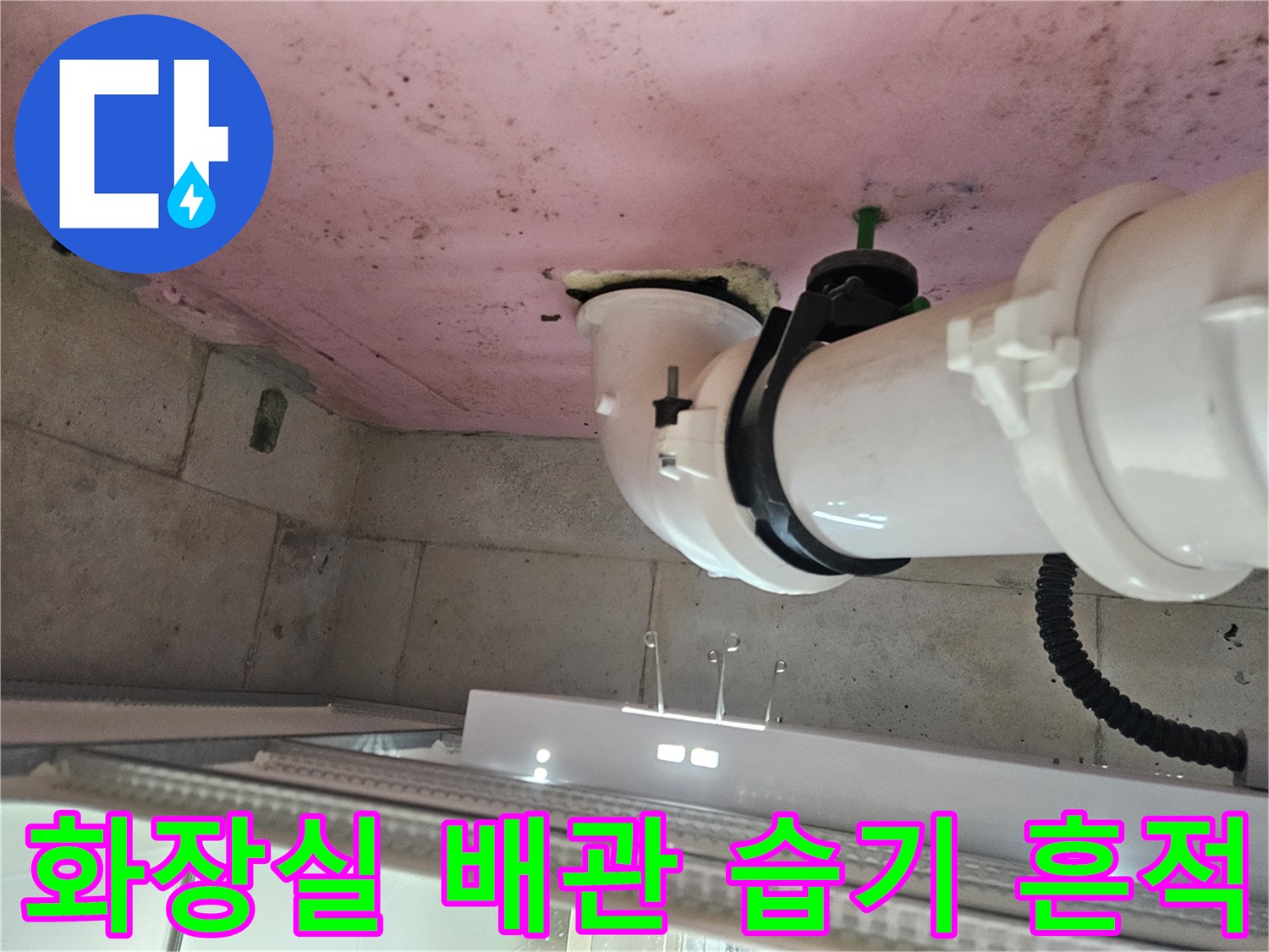 양주 옥정동 화장실-천장 내부 배관 주변의 습기와 오염 상태를 보여주는 사진입니다.
