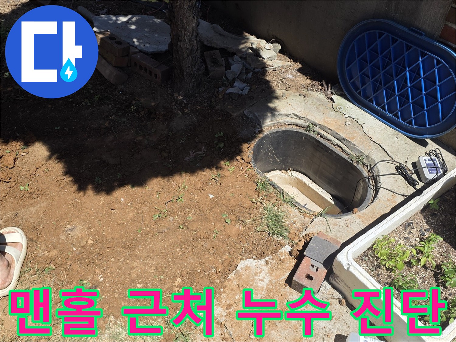 맨홀 입구와 나무 뿌리 사이 배관 누수를 확인하는 현장 사진