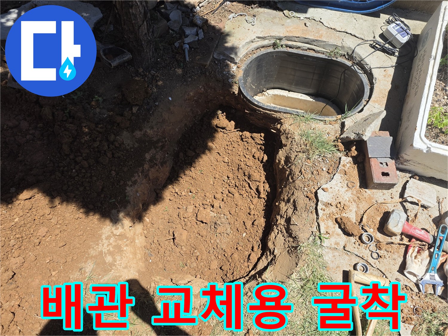 원당동 현장-맨홀과 나무 사이 배관을 찾기 위해 흙을 파낸 사진입니다.