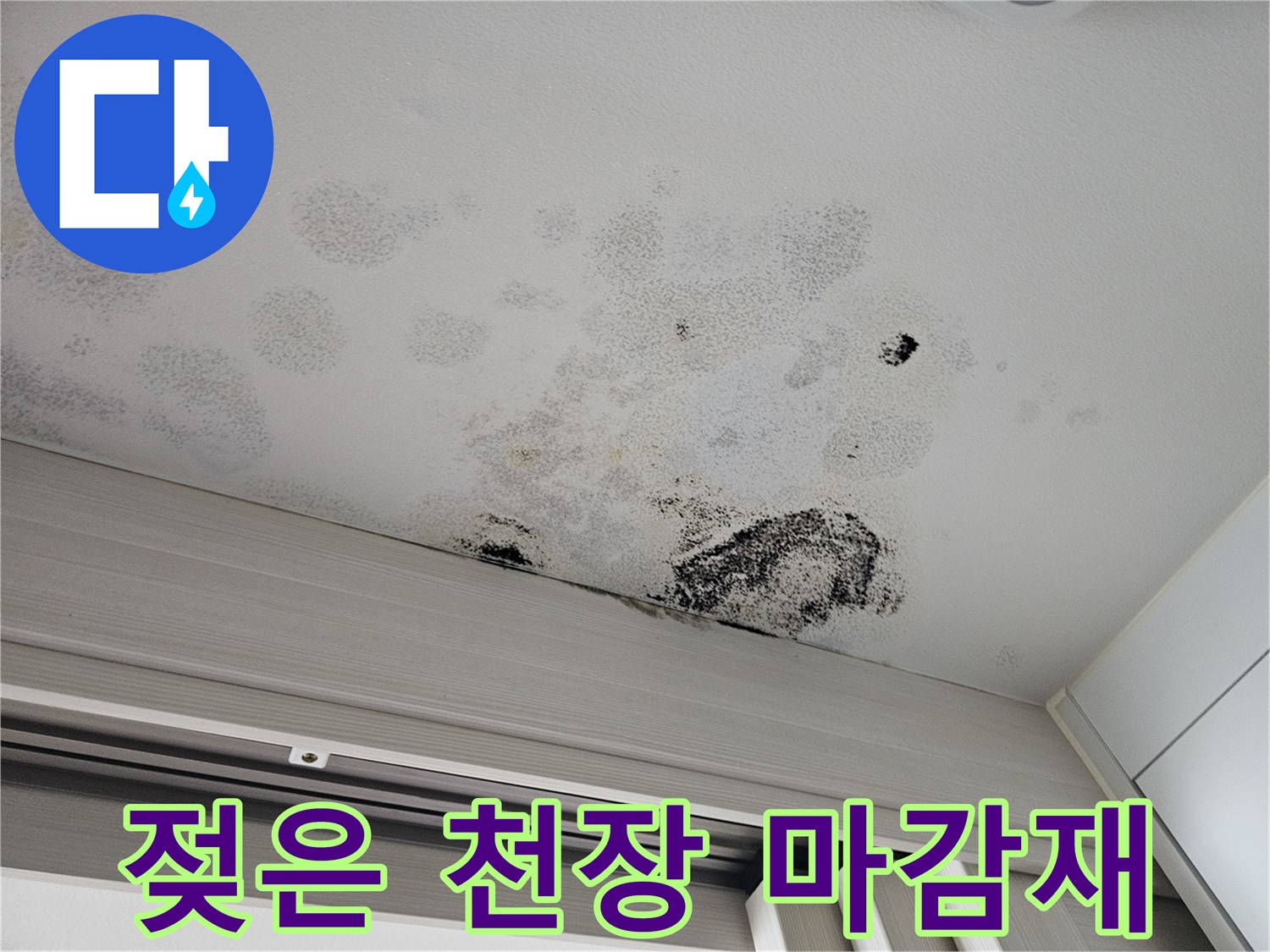 천장 마감재 사이로 번진 수분 흔적과 곰팡이 오염 상태