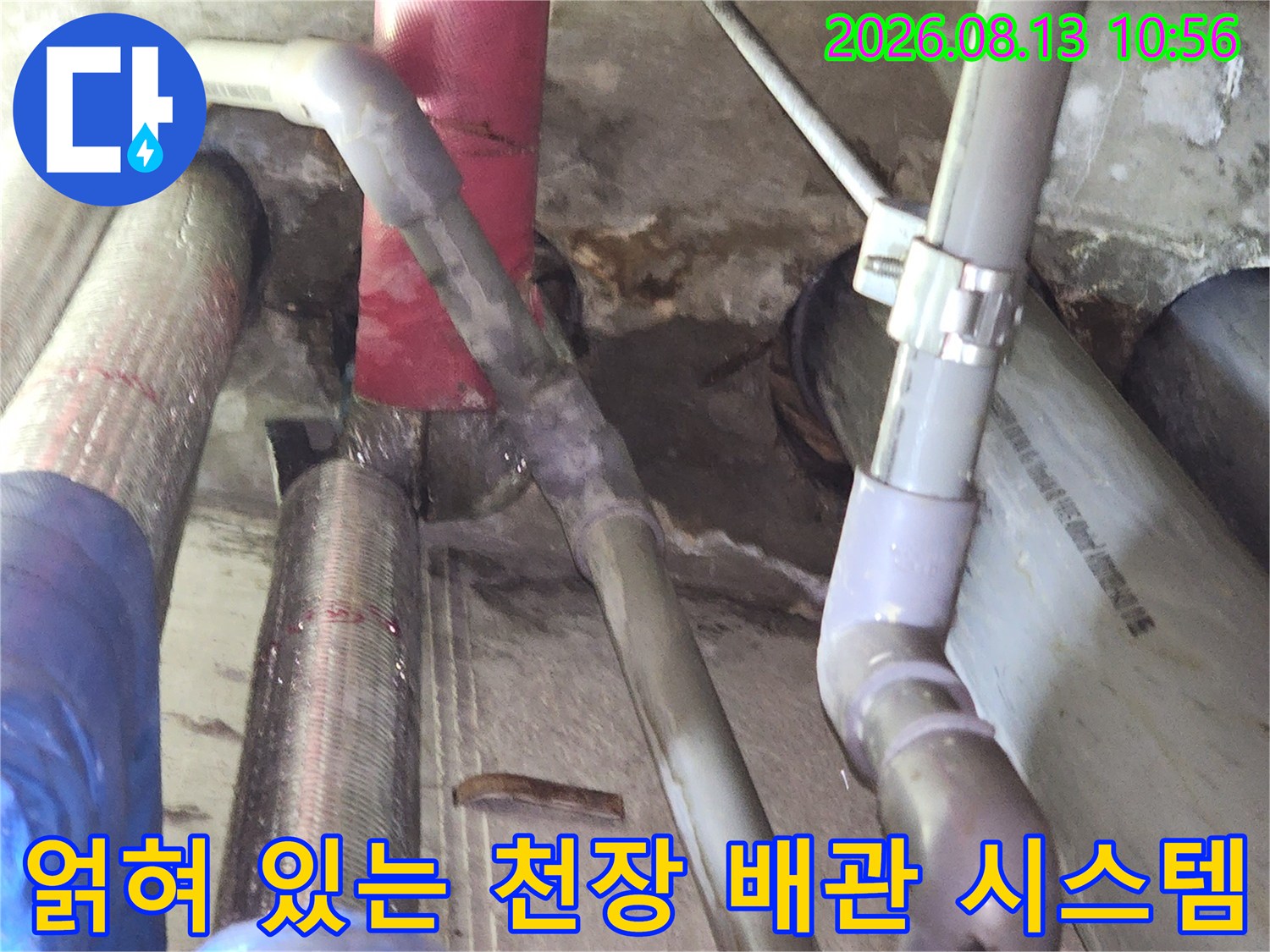 다양한 색상의 배관들이 천장에 고정되어 복잡하게 배치된 누수 점검 현장 사진