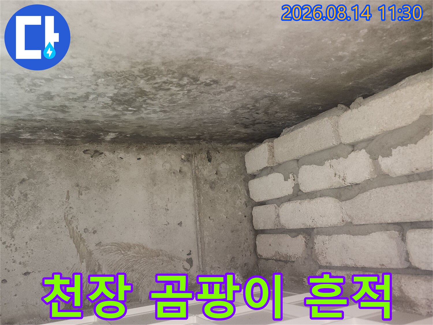 습기 침투로 인해 곰팡이가 발생한 천장 벽면 부위