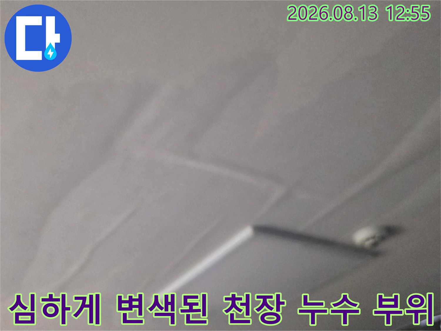 누수로 인해 회색과 갈색으로 변한 천장 표면-곰팡이와 얼룩의 결합