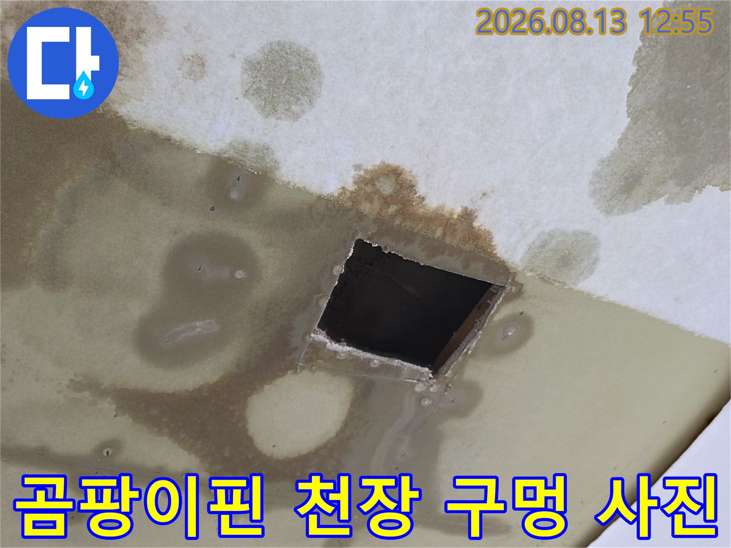 천장에 갈색 물자국과 곰팡이가 퍼져 있고 사각형 모양으로 구멍이 뚫려 있는 모습