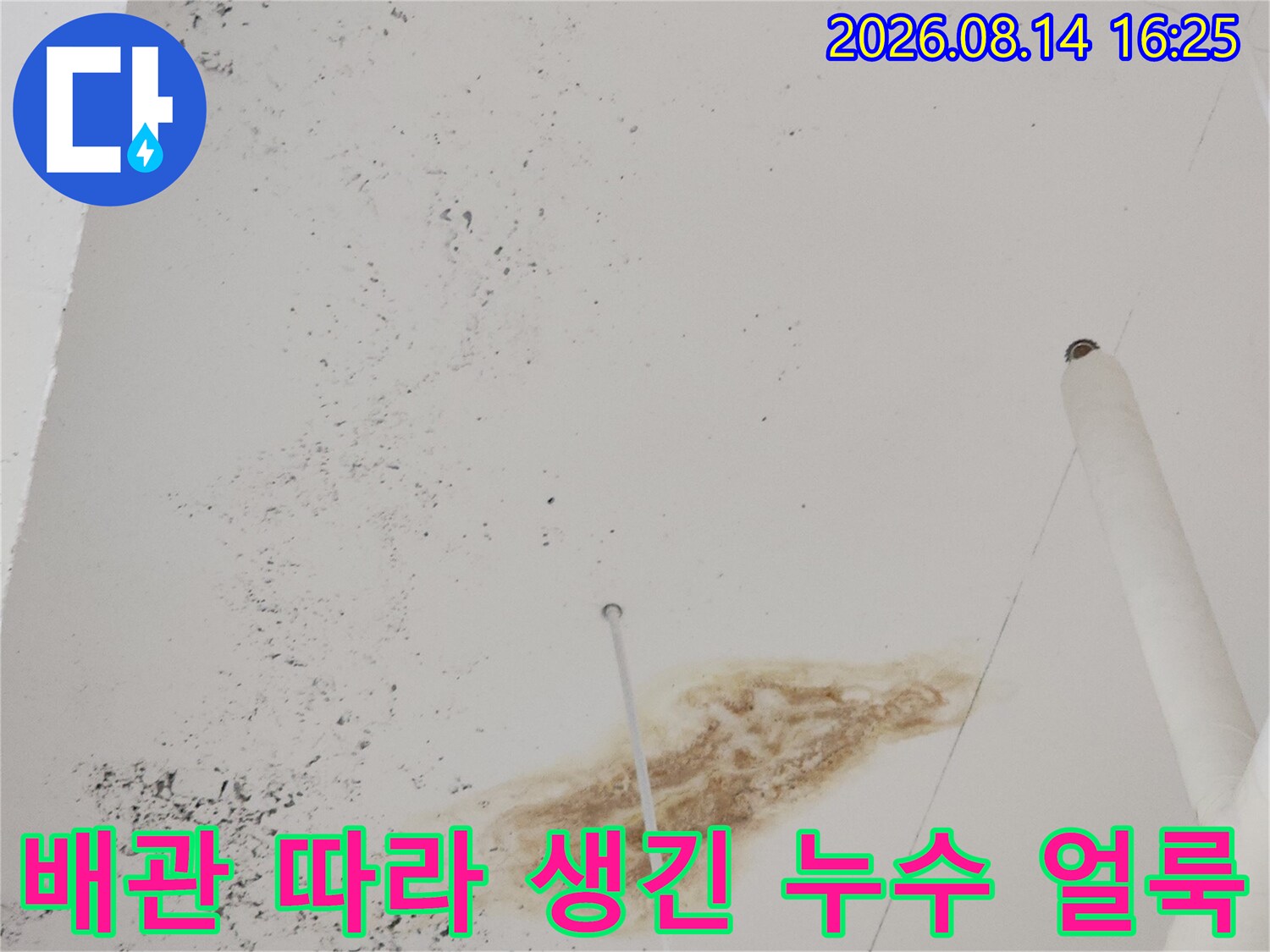 지축동 상가 내부 - 천장 배관 주변의 누수 변색 부위