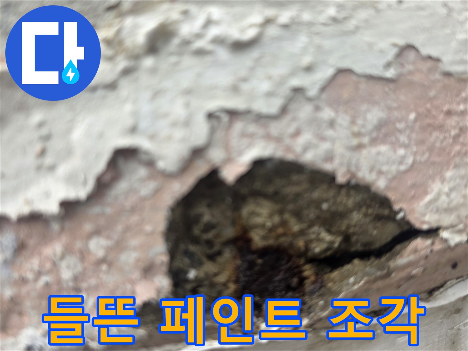 습기로 인해 갈라지고 벗겨진 내부 벽면 마감재