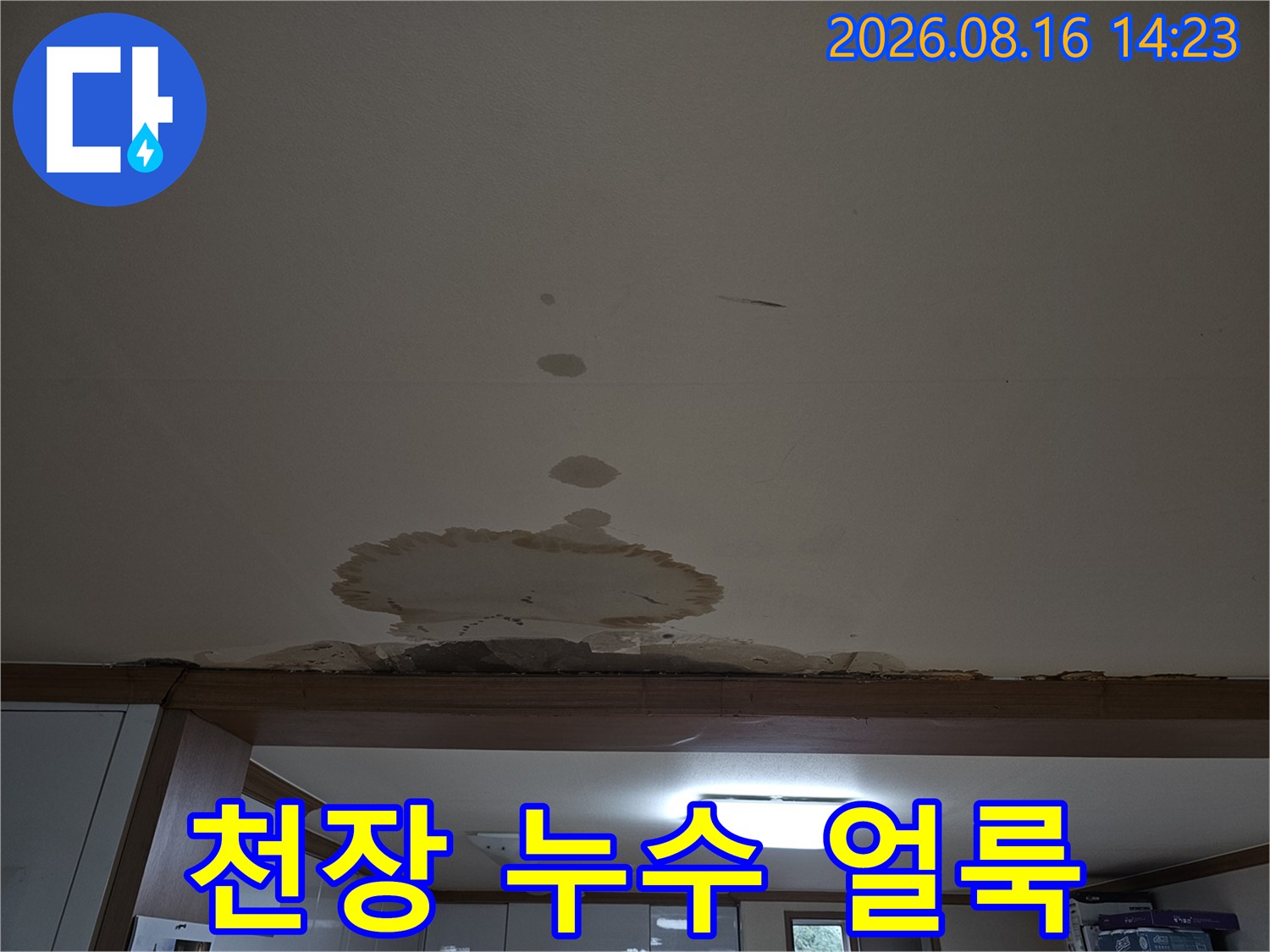 도봉구 아파트 천장 부분에 넓게 퍼진 물 자국과 얼룩 현상
