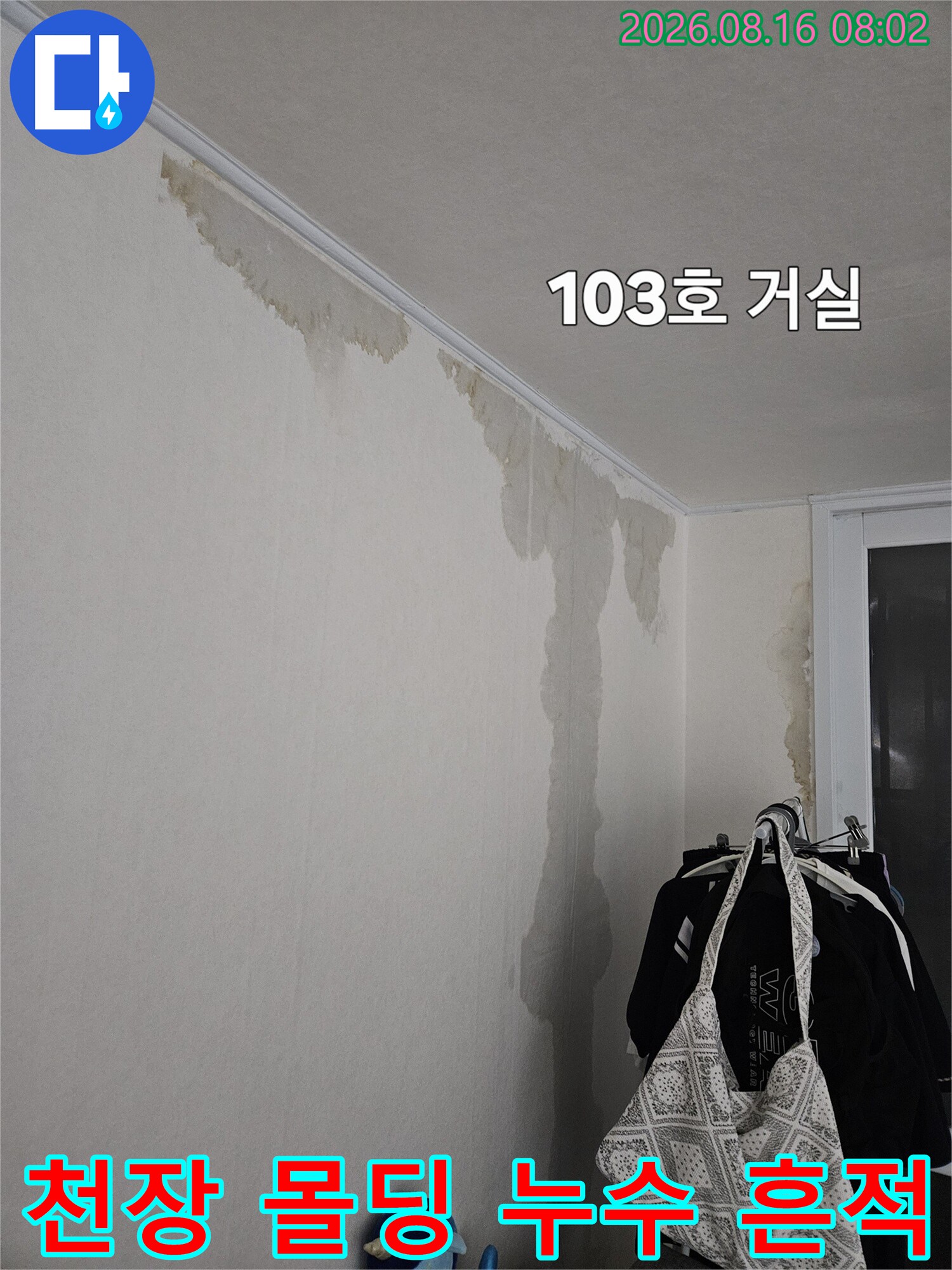 천장과 벽면 경계에 나타난 심한 물자국 및 변색 부위