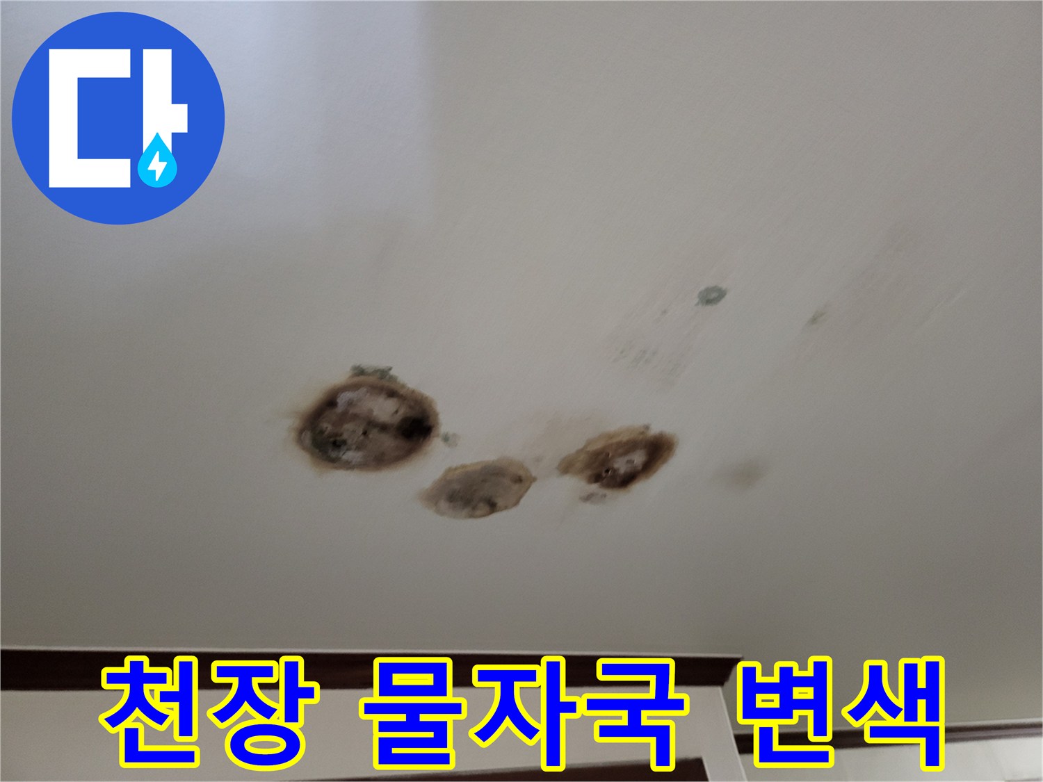 천장-석고보드-표면에-나타난-축축한-물자국과-변색