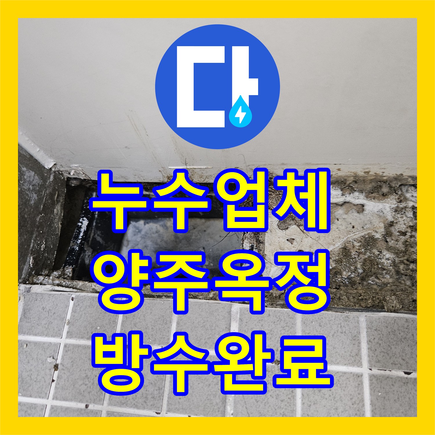 누수업체 화장실 변기 및 유가 주변 방수층 복원 공사 과정 경기 양주시 옥정동