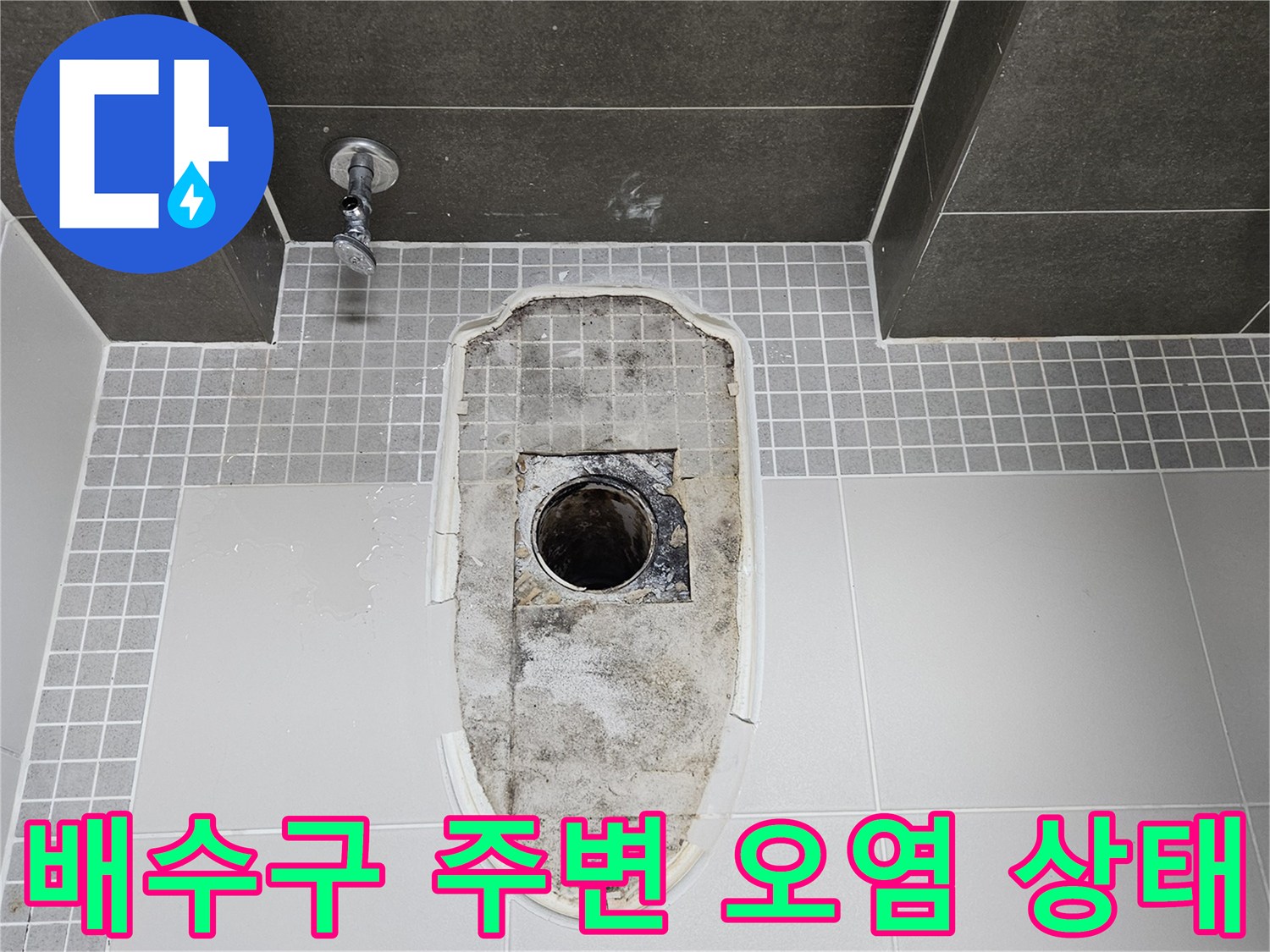 물때와 습기로 오염된 배수 트랩 하부 공간