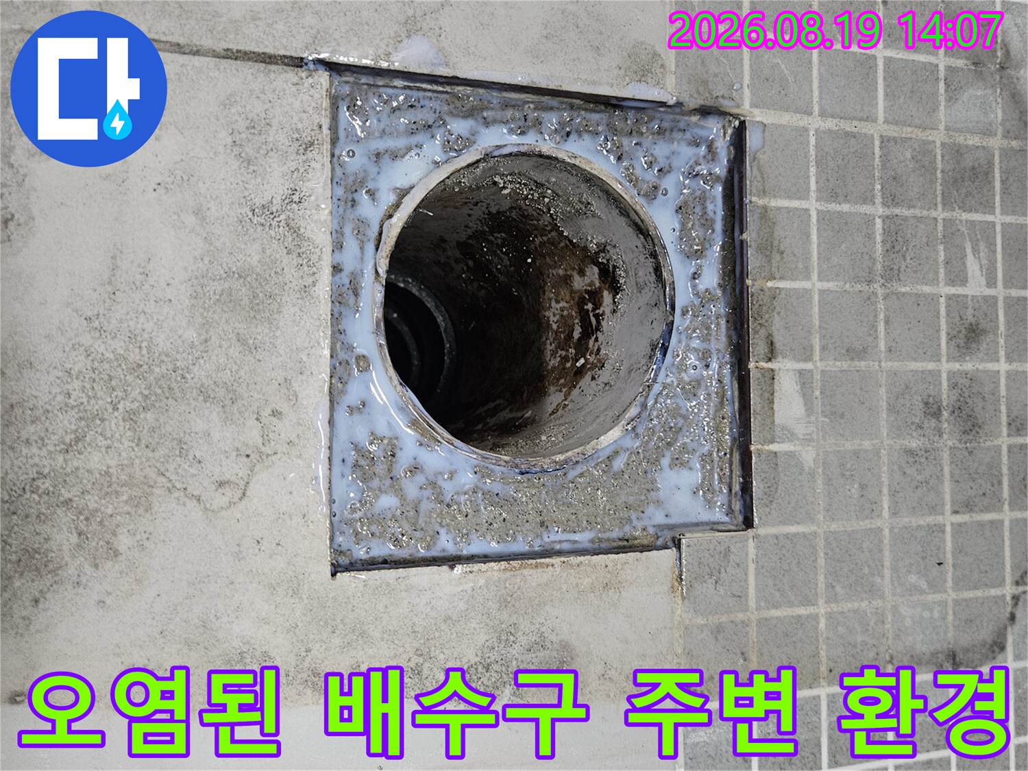 배수구 주위의 오염된 타일과 노출된 배관 상태를 촬영한 사진입니다.