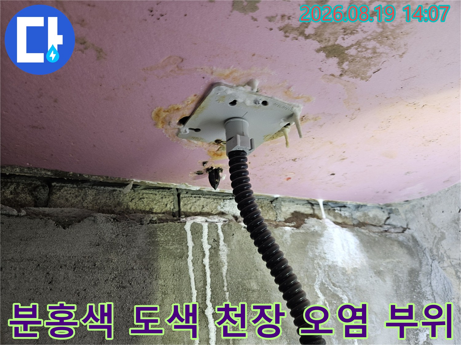 분홍색으로 도색된 천장 마감재에 나타난 누수 및 습기 오염