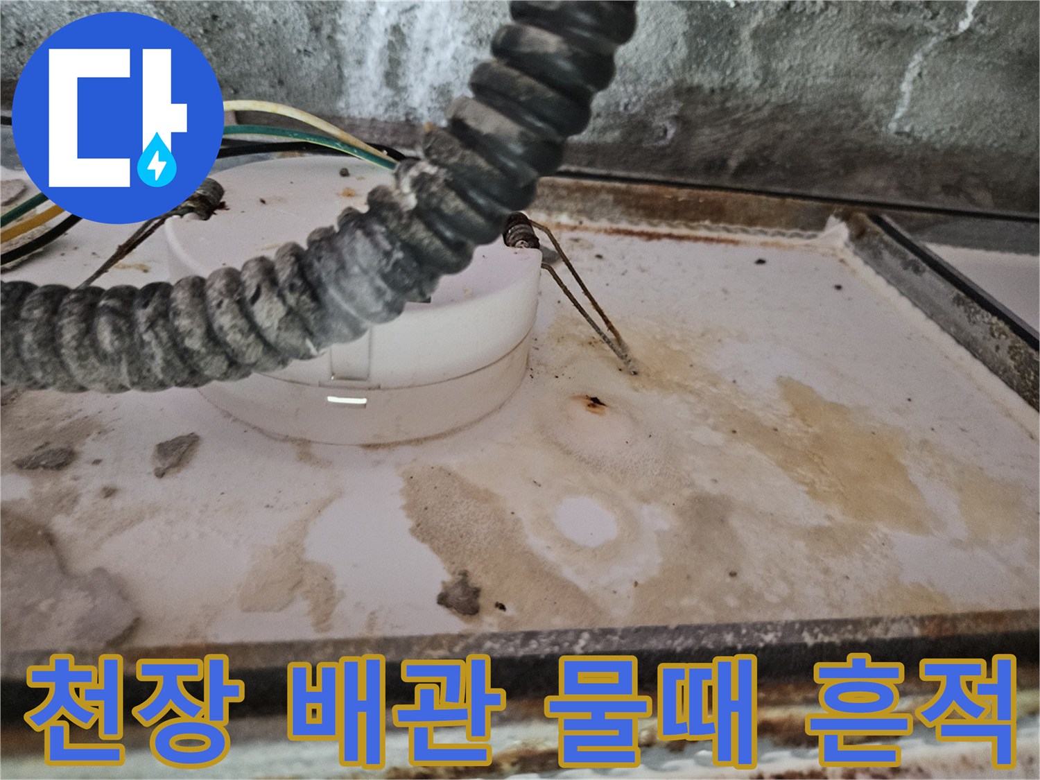 양주 옥정동 현장-화장실 천장 배관 주변의 누수 흔적과 물때