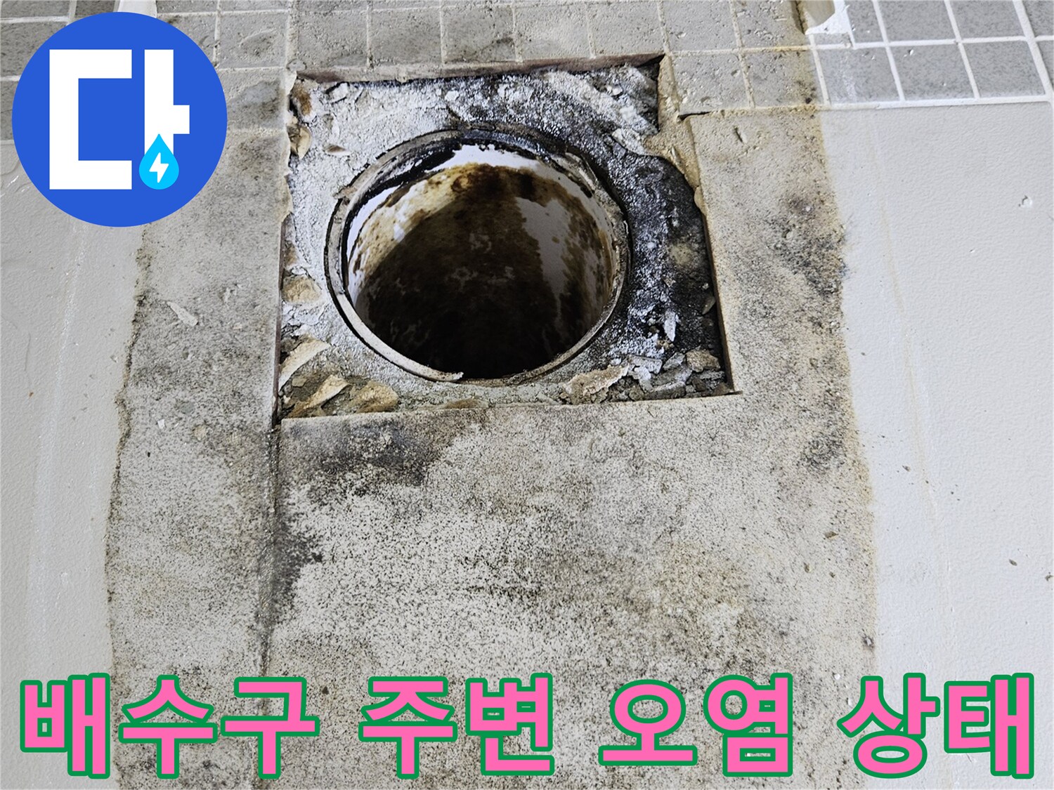 양주 옥정동 현장의 배수구 주변 곰팡이와 물때로 오염된 모습
