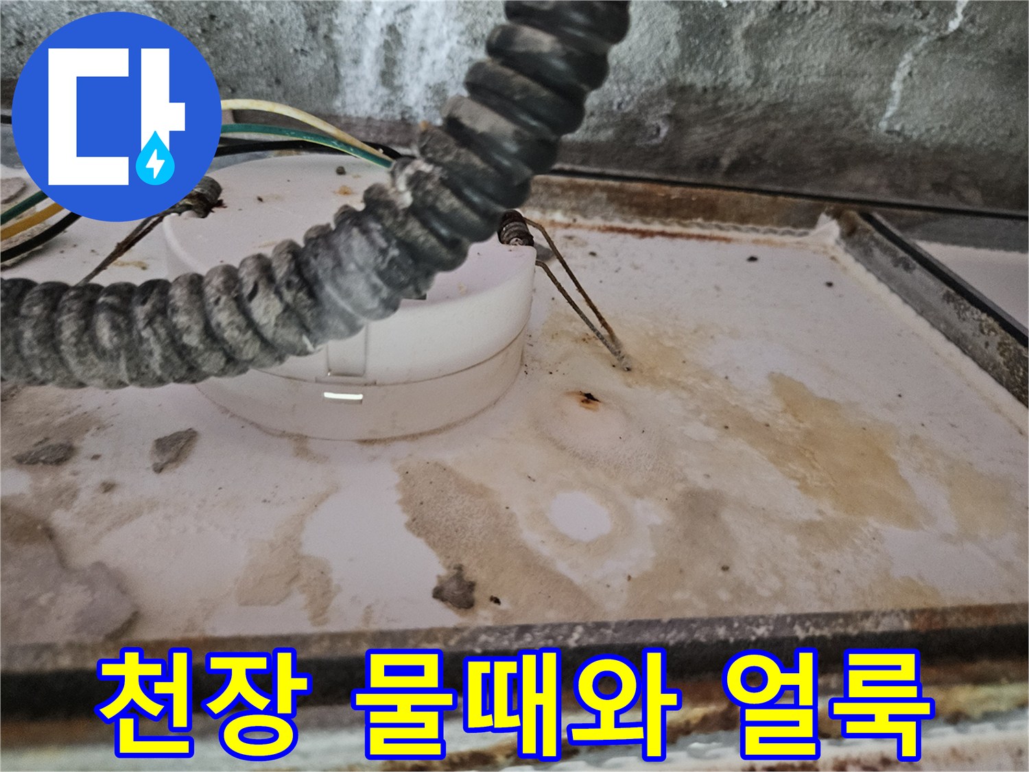 양주 옥정동 현장의-하부층 천장 배관 주변 물때 흔적